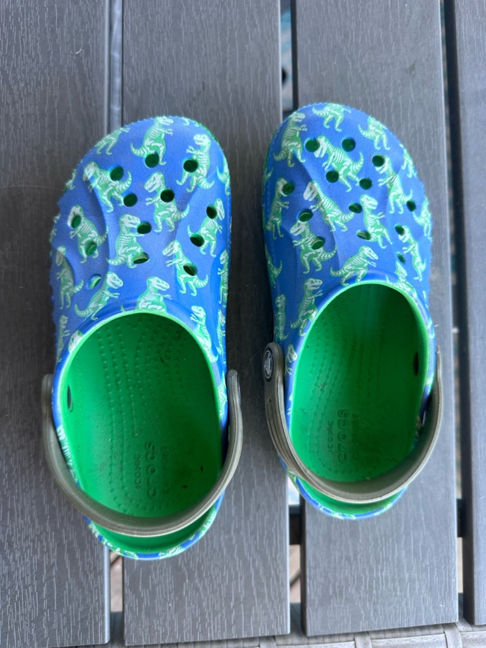 Dino Crocs